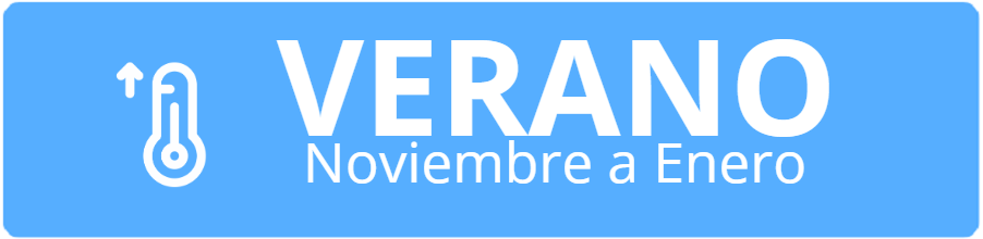 ver_p