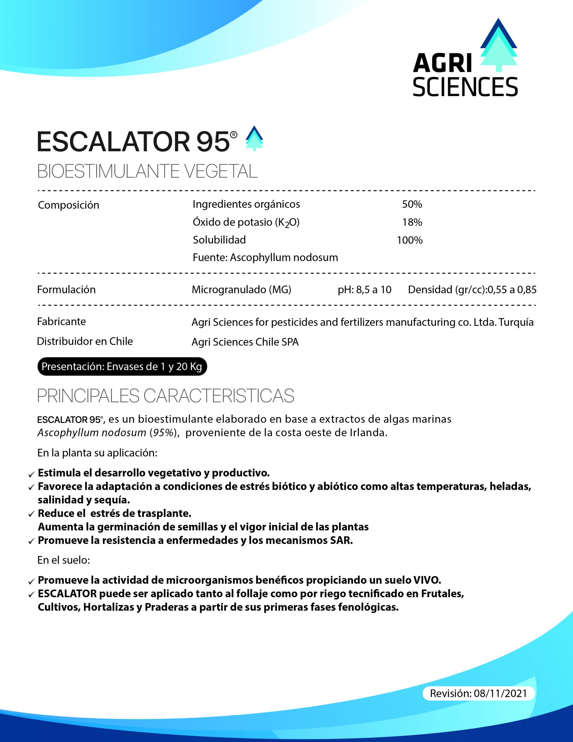 Escalator 95
